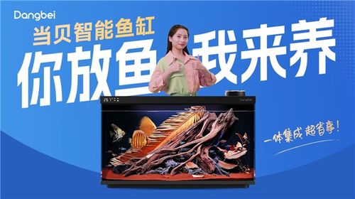 當(dāng)貝智能魚缸創(chuàng)意廣告席卷北上廣深 多地強(qiáng)勢(shì)上線