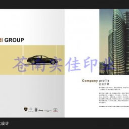 浙江企業(yè)宣傳畫(huà)冊(cè)印刷紙袋印刷 溫州廣告畫(huà)冊(cè)印刷廠 溫州廣告畫(huà)供應(yīng)商 蒼南縣龍港鎮(zhèn)實(shí)佳紙塑制品廠