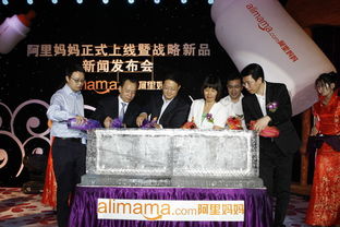 阿里媽媽發(fā)布戰(zhàn)略級(jí)網(wǎng)絡(luò)廣告產(chǎn)品 全國(guó)聯(lián)播